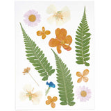 Rico Design - Natural Press Flowers | 13 pieces | Violet Orange