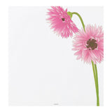 Midori - Bloc de papel para cartas Edición Limitada Primavera | 163 Silk-Printing Gerbera