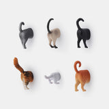 Kikkerland - Set de imanes Gatos