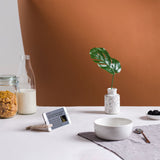 Debosc-Dehook | Wooden Mobile Stand