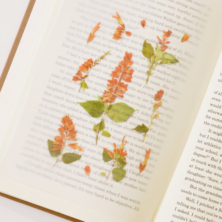Appree - Pressed Flower Stickers | Salvia