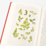 Appree - Pressed Flower Stickers | Adiantum