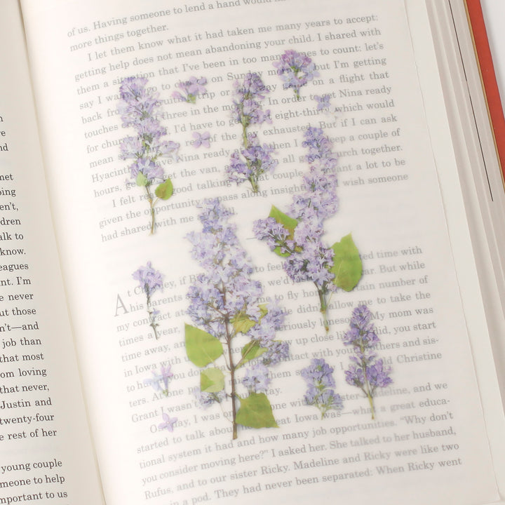 Appree - Flores Prensadas Pegatinas | Lilac