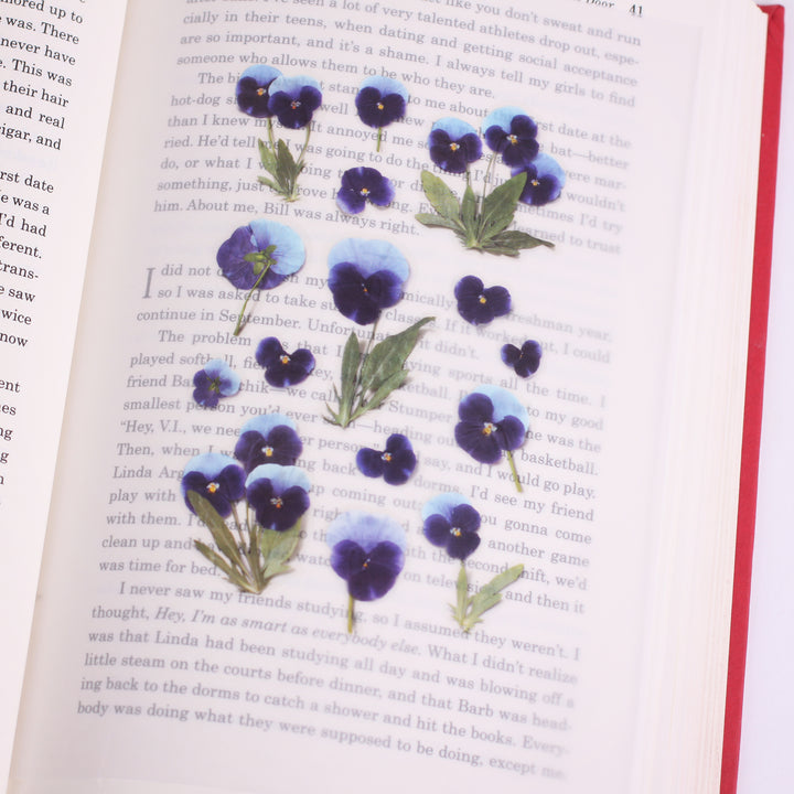 Appree - Pressed Flower Stickers | Pansy