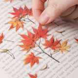 Appree - Pressed Flower Stickers | Palmate Maple