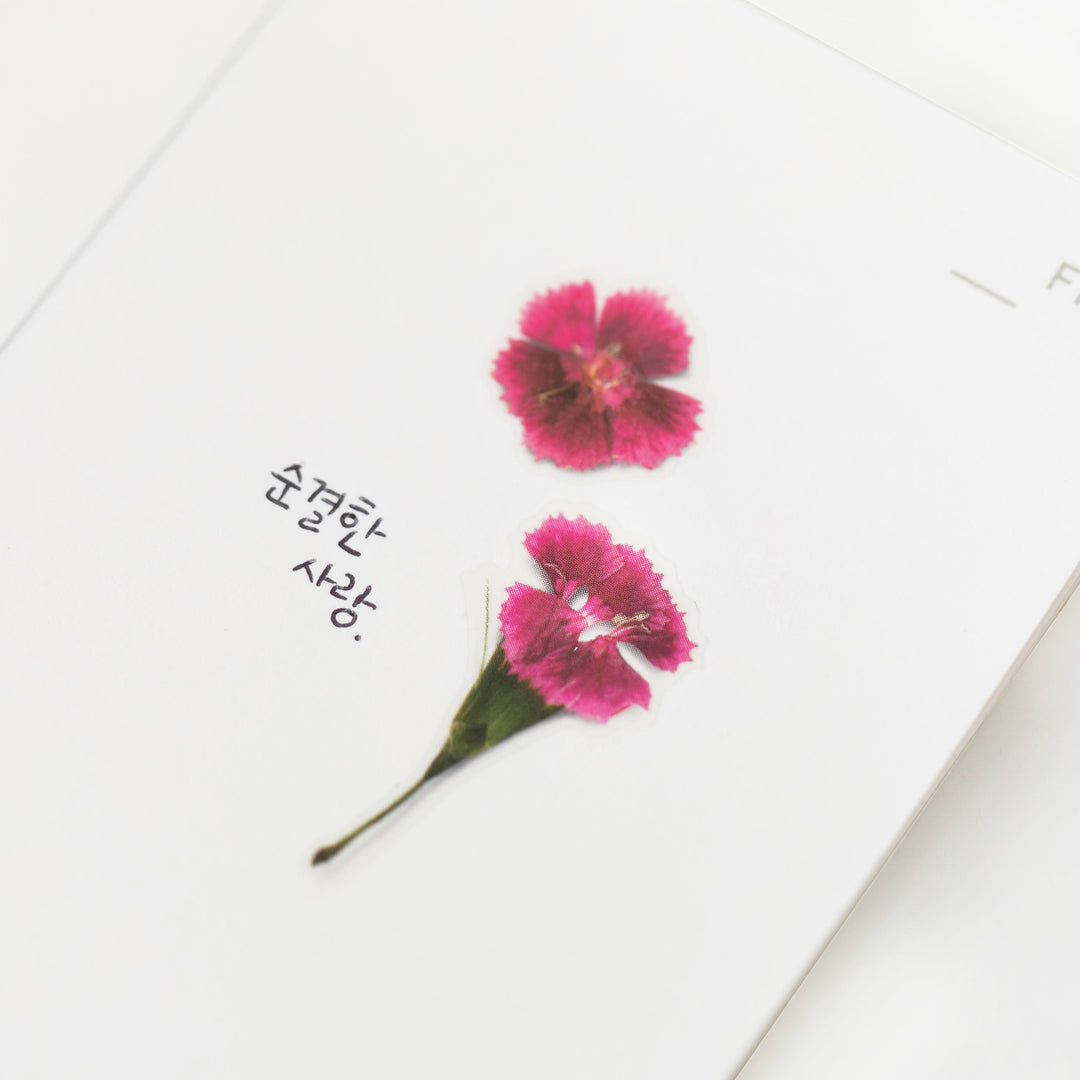 Appree - Flores Prensadas Pegatinas | China Pink