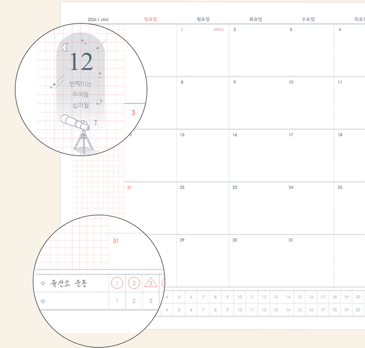 Iconic -Ilsanjip Agenda Semanal 2024 | Dec 23 - Dic 24 | Swimming Pool