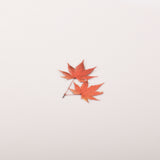 Appree - Pressed Flower Stickers | Palmate Maple