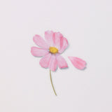 Appree - Pressed Flower Stickers | Cosmos