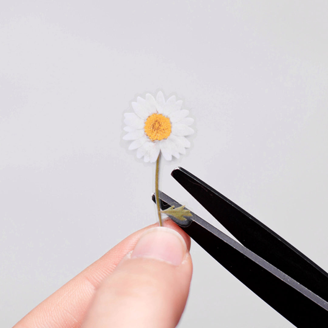 Appree - Pressed Flower Stickers | Daisy