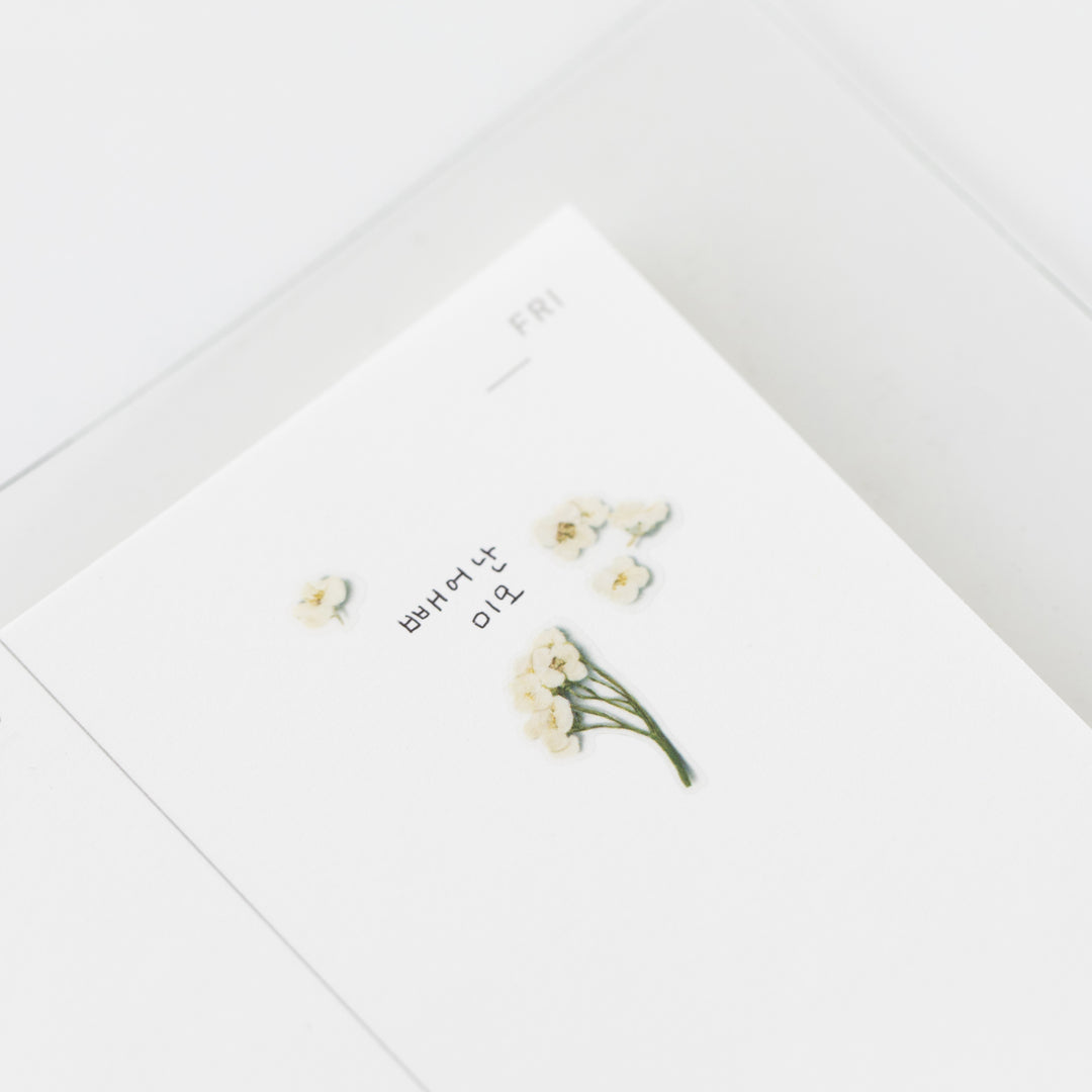 Appree - Pressed Flower Stickers | Sweet alyssum