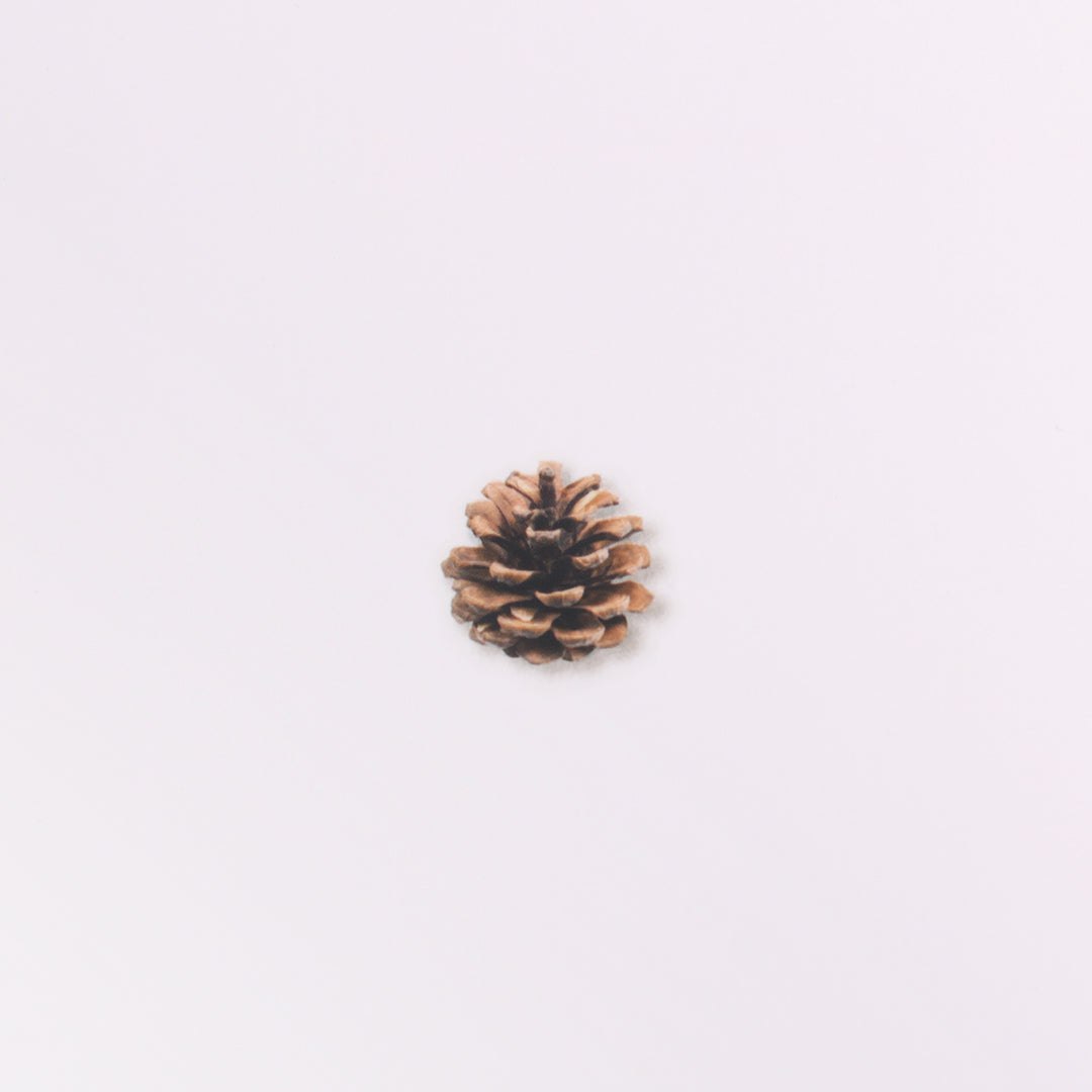 Appree - Nature Stickers | Pine