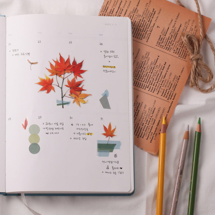 Appree - Pressed Flower Stickers | Palmate Maple