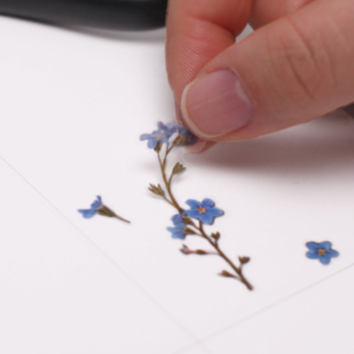 Appree - Pressed Flower Stickers | Forget-me-not