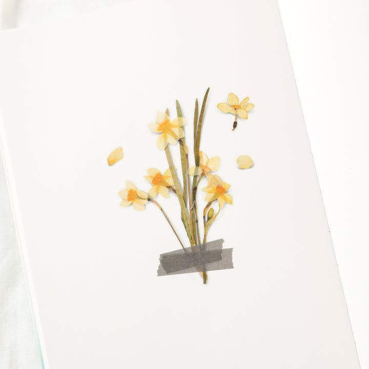 Appree - Flores Prensadas Pegatinas | Narciso