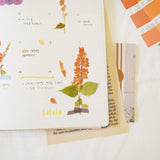 Appree - Pressed Flower Stickers | Salvia