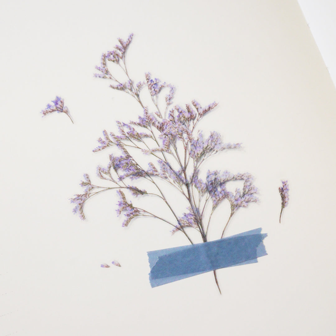 Appree - Flores Prensadas Pegatinas | Misty Blue