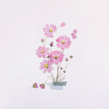 Appree - Pressed Flower Stickers | Cosmos