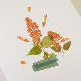 Appree - Pressed Flower Stickers | Salvia