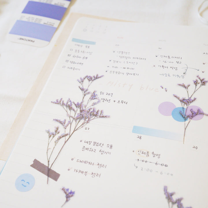 Appree - Pressed Flower Stickers | MIsty Blue