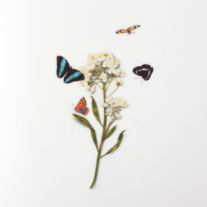 Appree - Pegatinas Nature | Mariposas