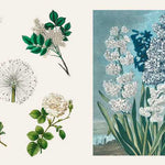 Hachette Pratique - Libro de Pegatinas | Sticker Treasury - Fleurs & Papillons — detalle 4