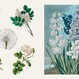 Hachette Pratique - Libro de Pegatinas | Sticker Treasury - Fleurs & Papillons — detalle 4