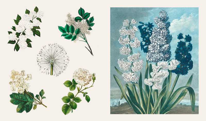 Hachette Pratique - Libro de Pegatinas | Sticker Treasury - Fleurs & Papillons — detalle 4
