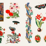 Hachette Pratique - Libro de Pegatinas | Sticker Treasury - Fleurs & Papillons — detalle 6