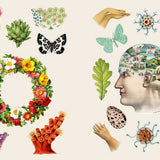 Hachette Pratique - Libro de Pegatinas | Le Livre de Stickers Vintage — detalle 3