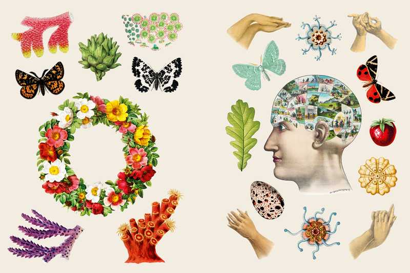Hachette Pratique - Libro de Pegatinas | Le Livre de Stickers Vintage — detalle 3
