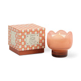 Paddywax – 5.5oz/155g Glass Tulip Scented Candle | Pink and Burnt Orange - Cactus Flower
