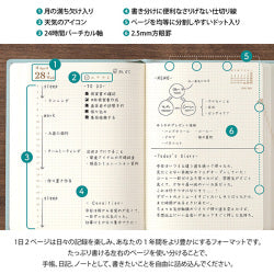 Midori - Agenda Hibino A6 2027 | Blue Green — interior, detalles y uso