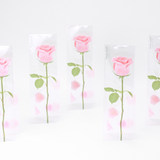 Appree - Notas Adhesivas | Standing | Rosa rosa