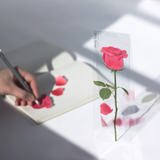 Appree - Notas Adhesivas | Standing | Rosa roja