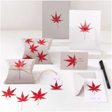 Rico Design - Flores Naturales Secas y Prensadas | 8 piezas | Maple Leaf