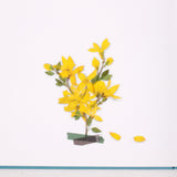 Appree - Flores Prensadas Pegatinas | Forsythia