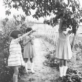 Zoé de Las Cases -  Libro de Pegatinas Le Bazar