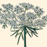 Zoé de Las Cases -  Libro de Pegatinas Le Bazar