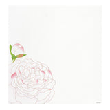 Midori - Bloc de papel para cartas Edición Limitada Verano | Bloc 949 Four Designs Summer Flowers S5