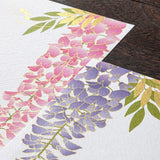 Midori - Bloc de papel para cartas Edición Limitada Verano | Bloc 951 Four Designs Silk-Printing Wisteria S2