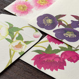 Midori -  Envelope 150 Four Designs Christmas Rose