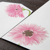 Midori - Sobres Florales  Edición Limitada Primavera | 164 Silk-Printing Gerbera