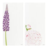 Midori - Letter Pad Limited Edition Summer | 603 Four Designs Summer Flowers S5