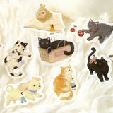BGM - Pegatinas | Petit Story - Animal
