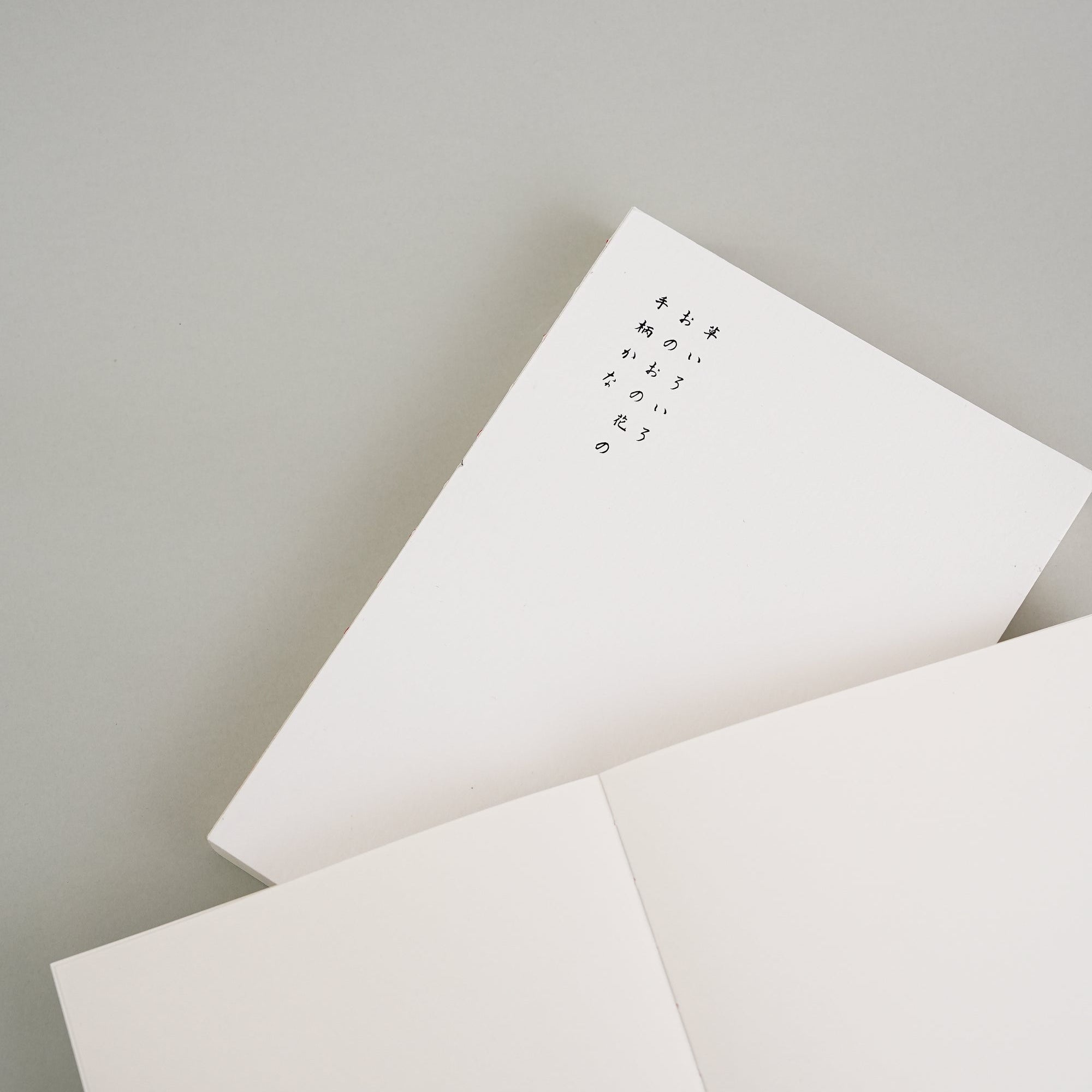 Oh Bleu - Cuaderno Opus A5 | Hojas lisas | Ivory Snow - detalle 2