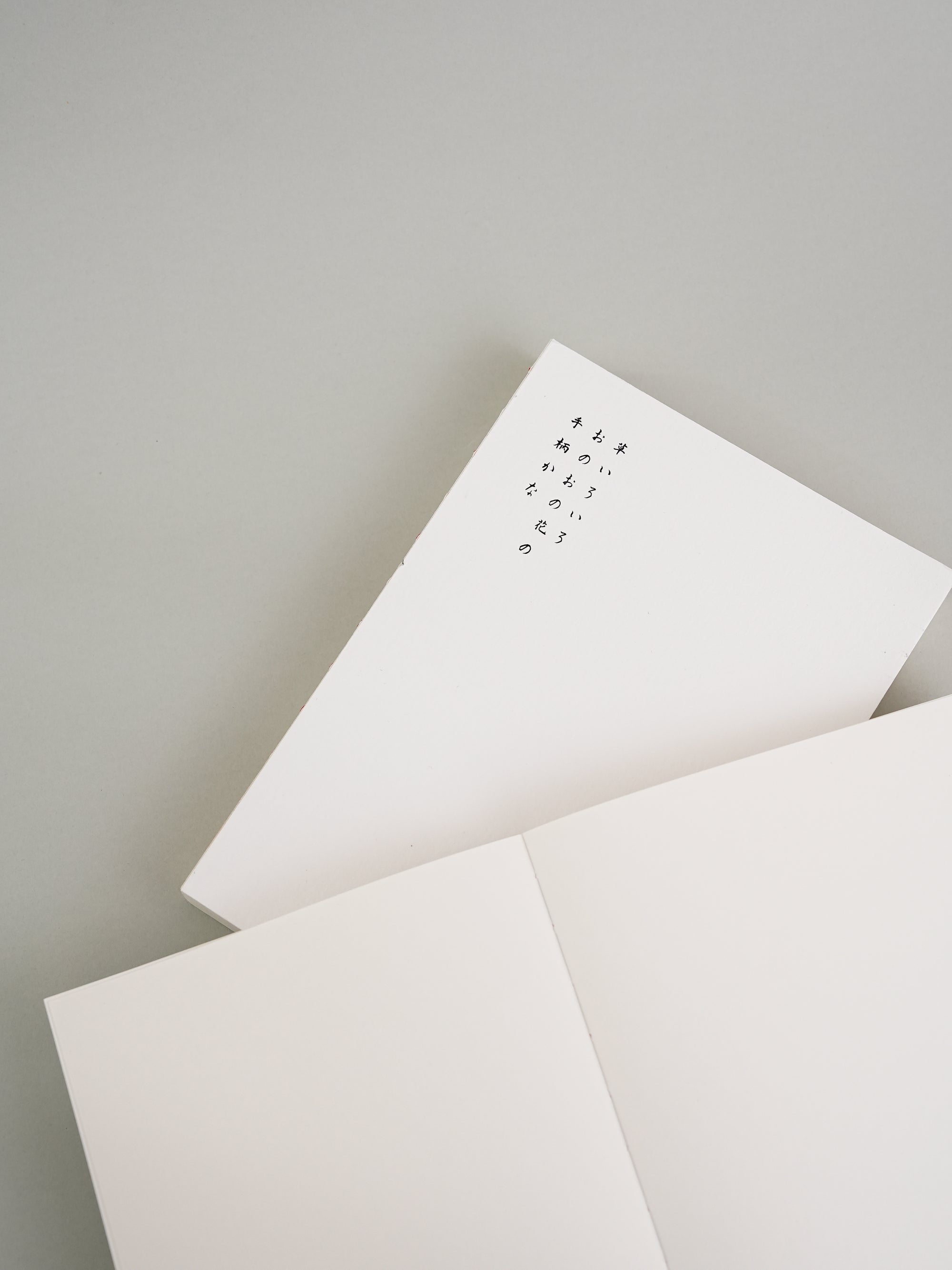 Oh Bleu - Cuaderno Opus A5 | Hojas lisas | Ivory Snow - detalle 2