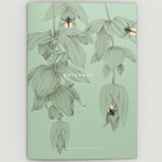 Libreta A5 Botánica “Selva” – Save the Date Projects