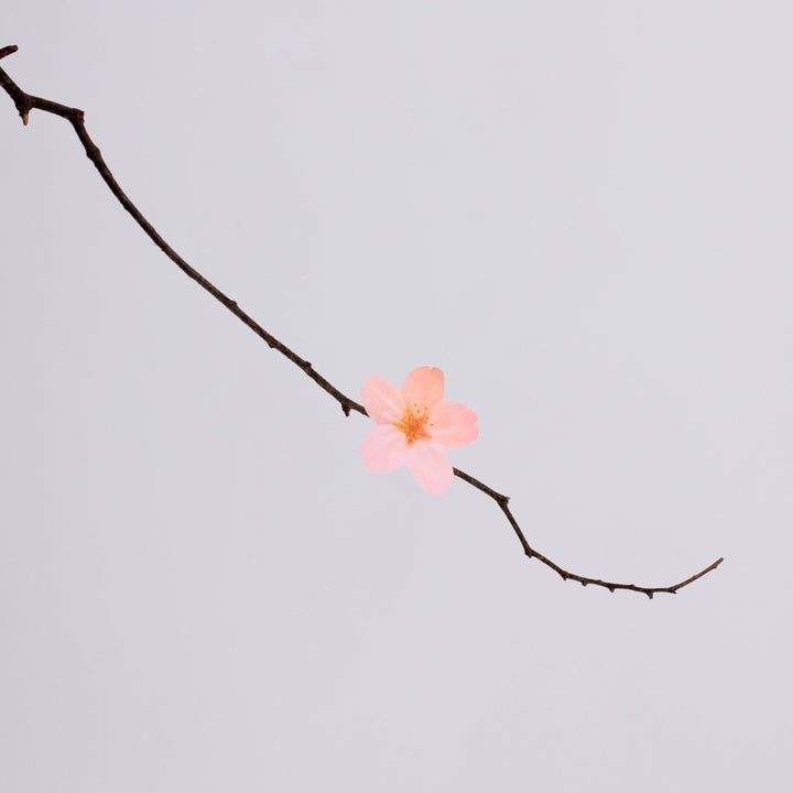 Appree - Notas Adhesivas | Flores de Cerezo Rosa | Tamaño L
