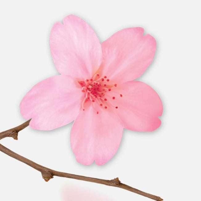 Appree - Sticky Notes | Pink Cherry Blossom | Size L